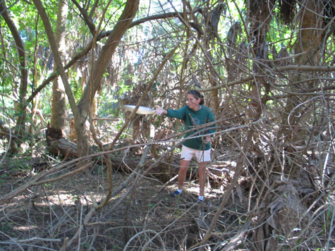 [picture: me and amy at disc golf, nov 29, 2003]