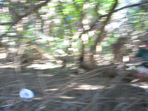 [picture: me and amy at disc golf, nov 29, 2003]