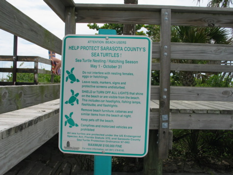 [picture: sign about nesting turtles].