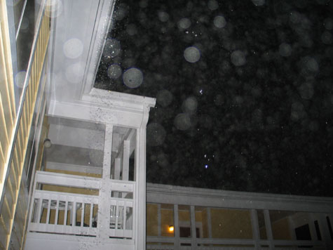 picture from on my porch, flash used.