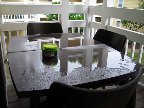 [picture: my porch table after a rainstorm]