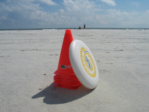 [picture: disc and cone, sk beach ulti promo]