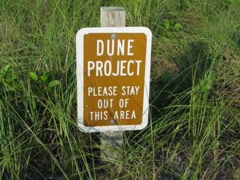 [picture: dune sign]