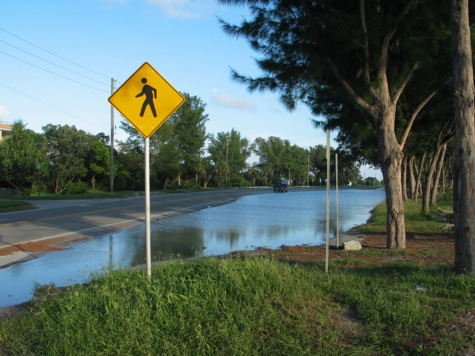 [picture: rainy road]