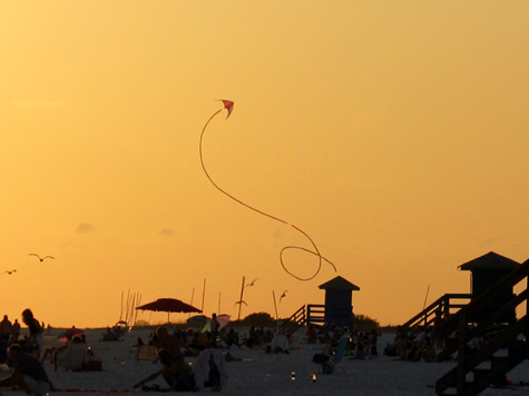 [picture:  kite on Siesta Key beach]