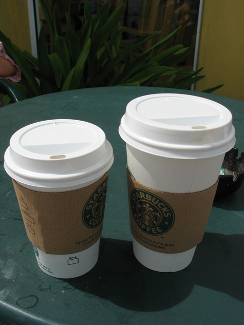 [picture: two cupobucks]