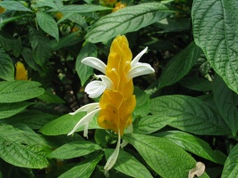IMG_2473.jpg