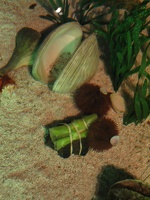 IMG_7481.jpg
