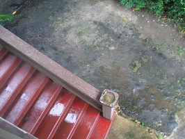TRINI2010_049