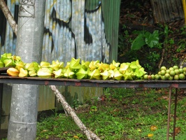 TRINI2010_070